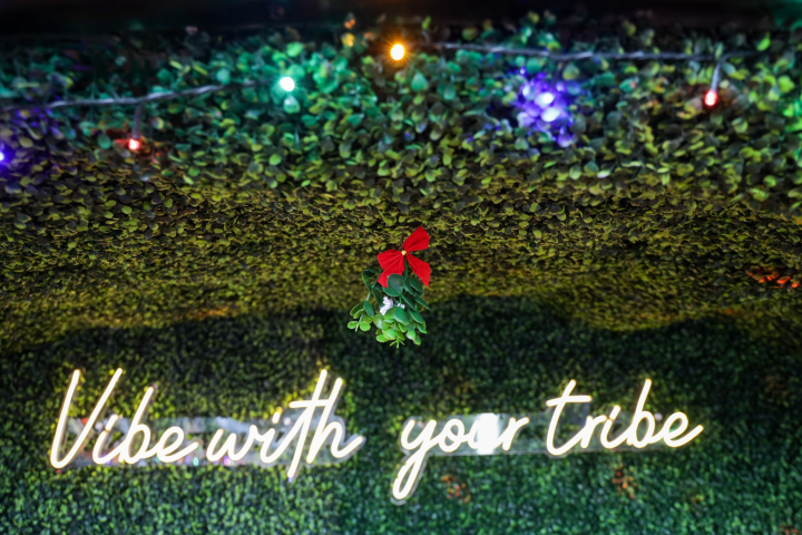 Neon sign reads 'Vibe with your tribe' on leafy background with hanging mistletoe and colorful lights above.